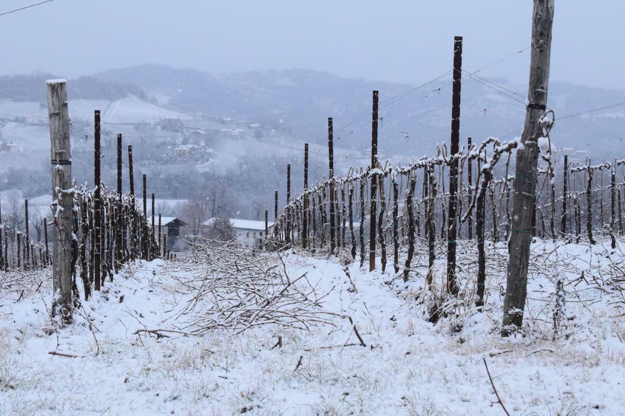 Accogliente Rustico In Prosecco Valley San Pietro Di Feletto Exterior foto