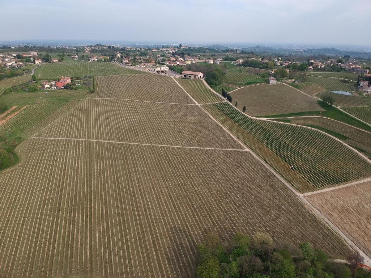 Accogliente Rustico In Prosecco Valley San Pietro Di Feletto Exterior foto