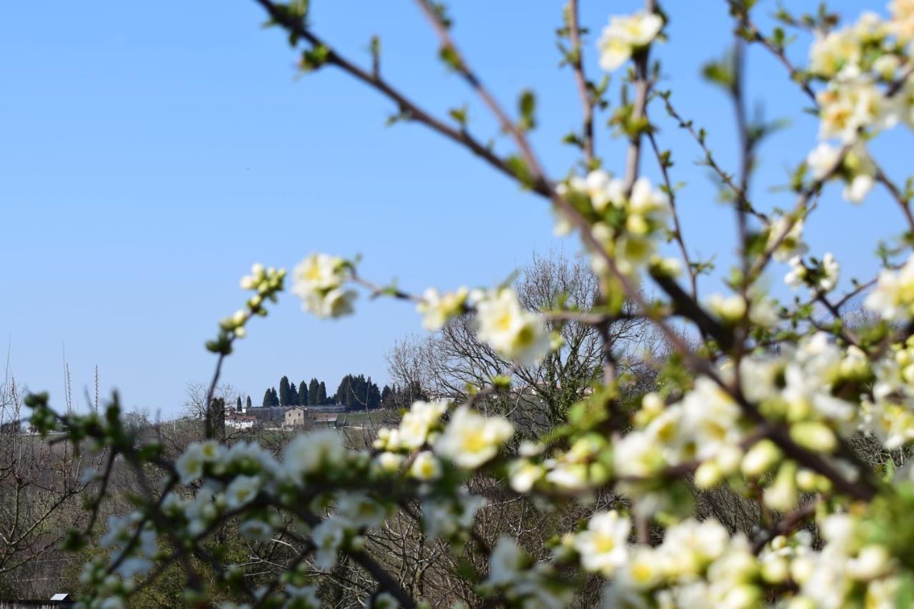 Accogliente Rustico In Prosecco Valley San Pietro Di Feletto Exterior foto