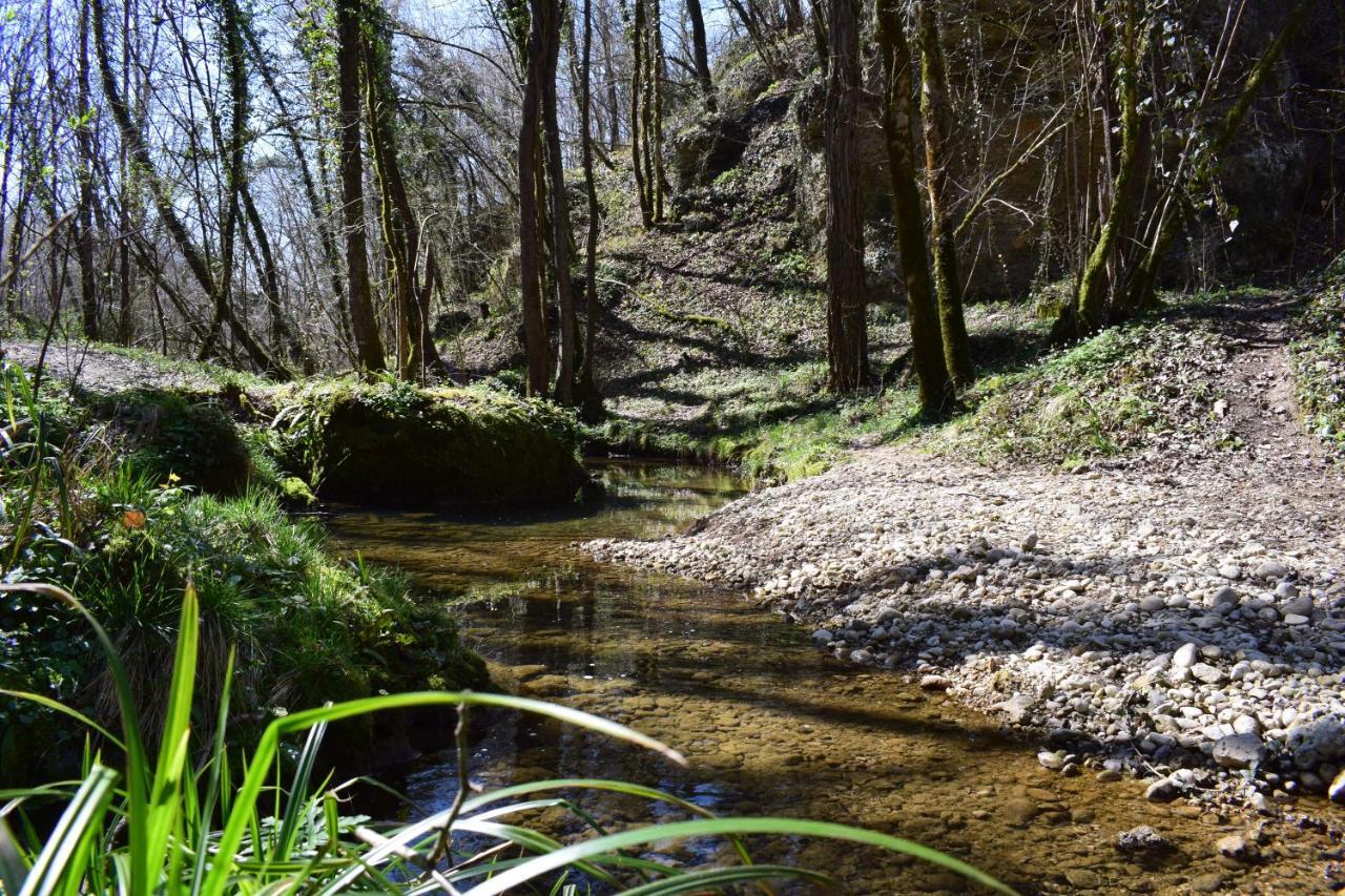 Accogliente Rustico In Prosecco Valley San Pietro Di Feletto Exterior foto