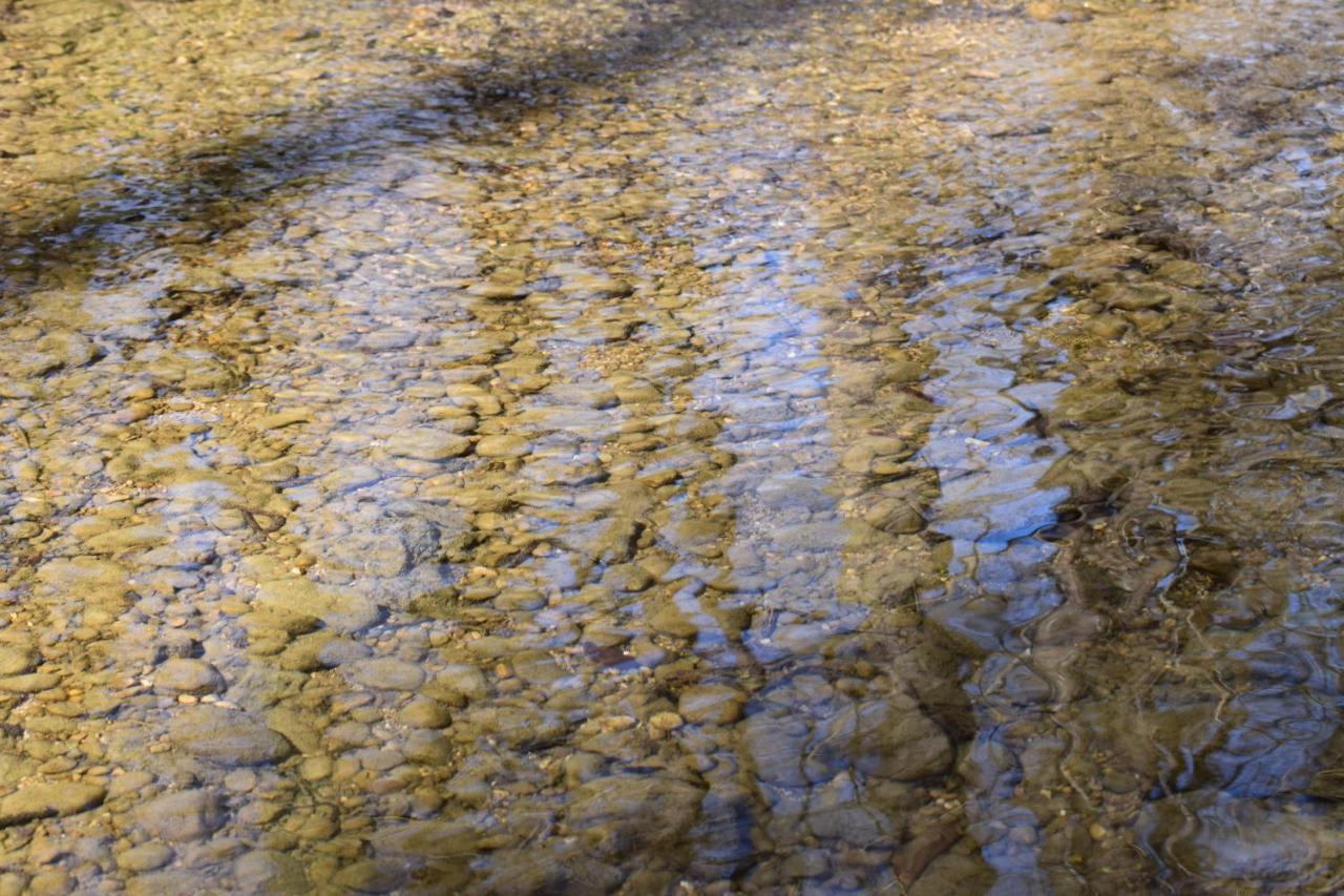 Accogliente Rustico In Prosecco Valley San Pietro Di Feletto Exterior foto